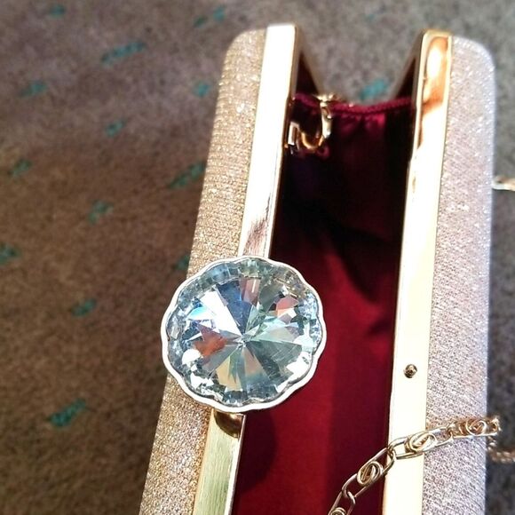 FELLINI CLUTCH GLAMOUROUS AND CHIC!!! NWOT!!! - Picture 11 of 11
